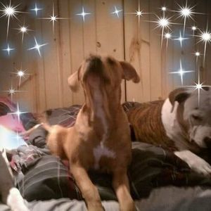 Meet your Posher, Richard